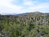 Chiricahuas